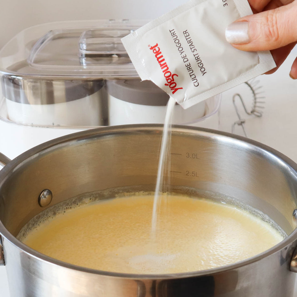 How to make yogurt culture discount