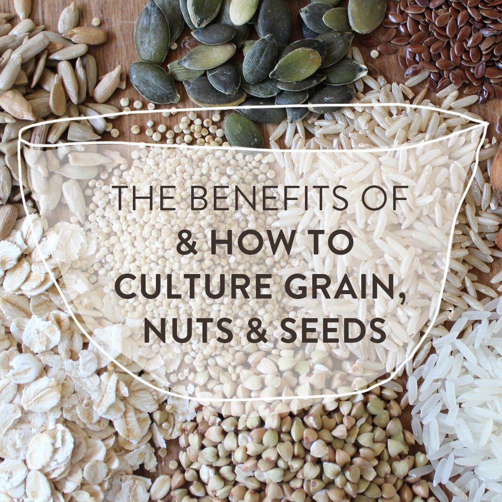 The benefits of soaking & culturing grains
