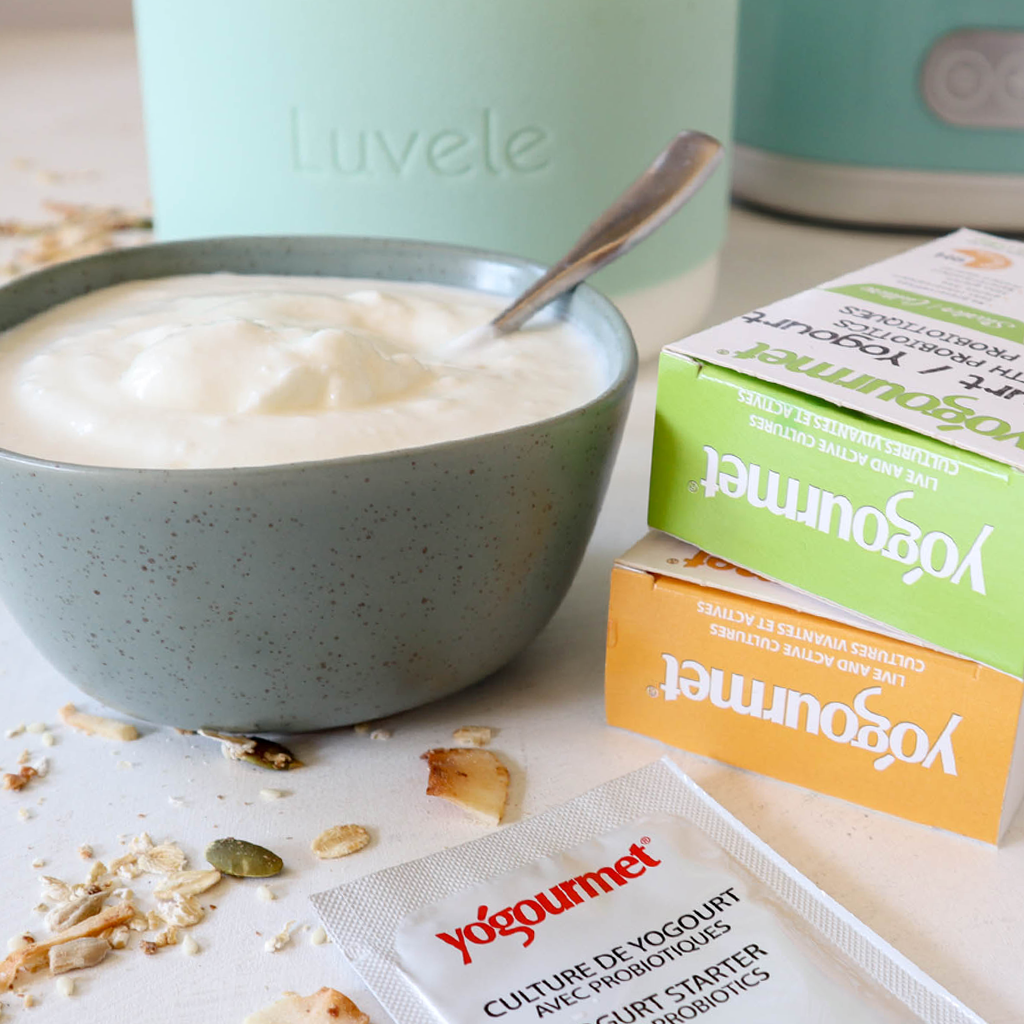 Joghurt-Starterkulturen für SCD & GAPS